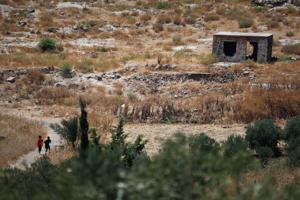 Israeli troops face resistance in southern Syrian town of Abdin