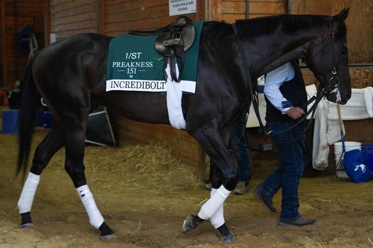 The Preakness at Laurel Park has a little bit of everything but the ...