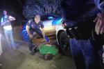 $4.8M settlement reached over Louisiana traffic stop death, AP sources say