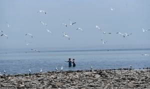 Stay out of the water at three Halton public beaches