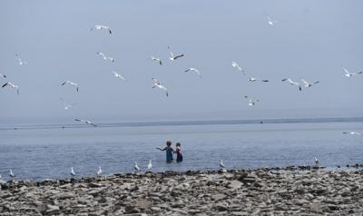 Halton beaches
