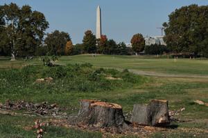Judge extends court-ordered block on Trump’s renovation plans for public golf course in Washington