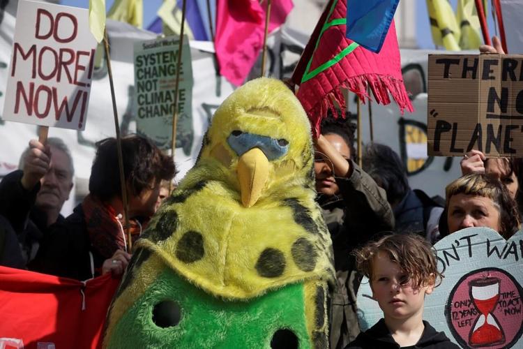 Extinction Rebellion: green protests snarl London traffic