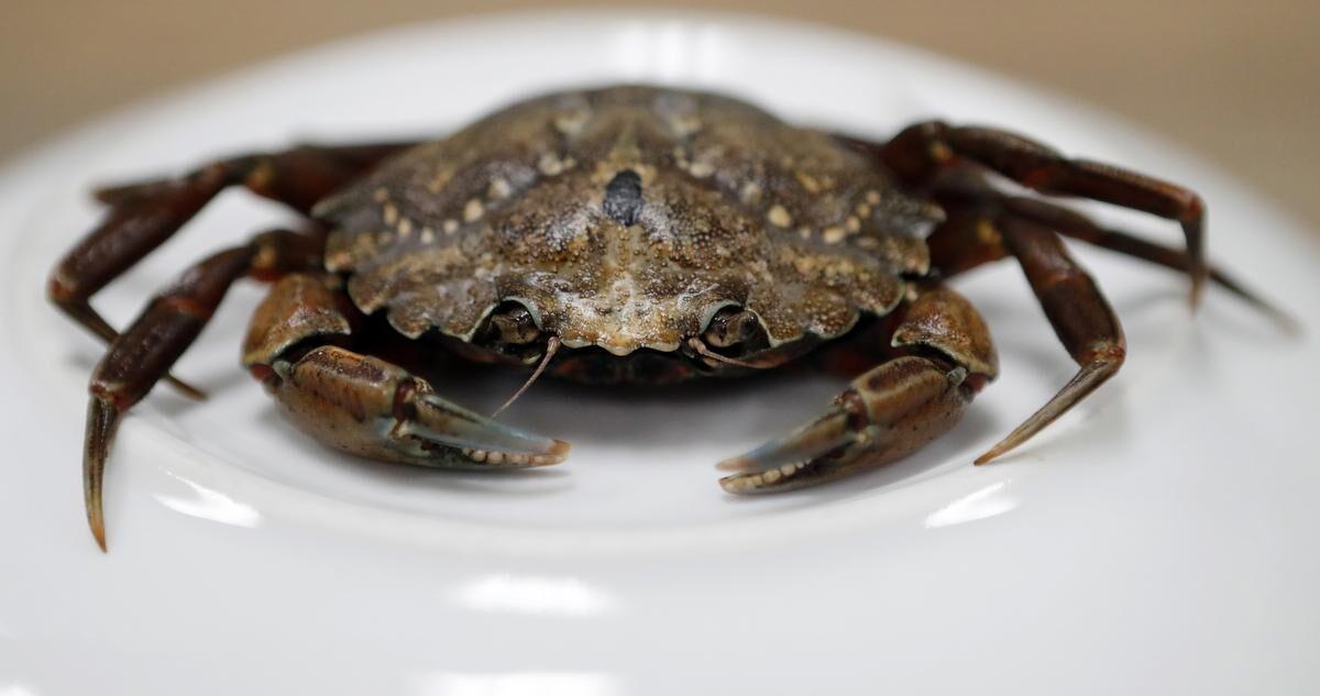 Crawling Crab is open again at their S Federal location — which has al