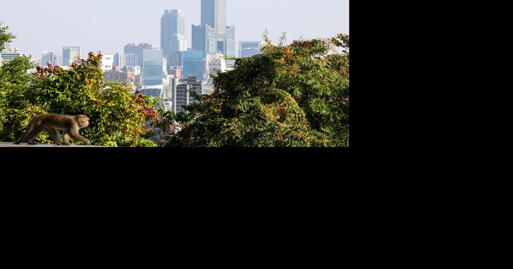 A magnitude 6.6 earthquake strikes off the coast of Taiwan