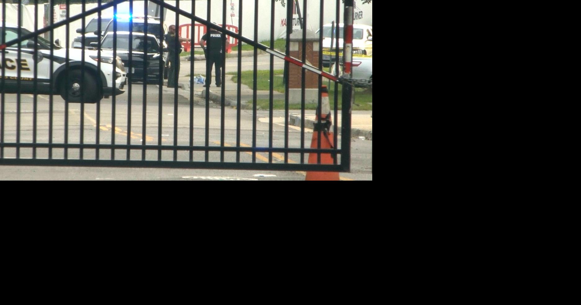 https://bloximages.chicago2.vip.townnews.com/thestar.com/content/tncms/assets/v3/editorial/a/62/a62f2cf1-c06b-58e7-bcad-fd6b8749576b/6a820400daf6c.image.jpg?crop=1873%2C983%2C0%2C48&resize=1200%2C630&order=crop%2Cresize