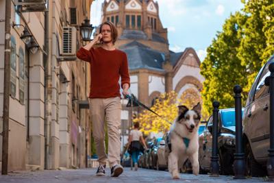dogwalker-with-cellphone.jpg