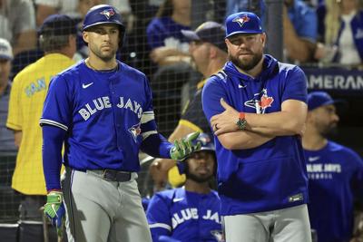 springer-jays.JPG