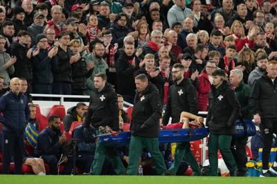 Liverpool defender Giovanni Leoni injured on debut against Southampton