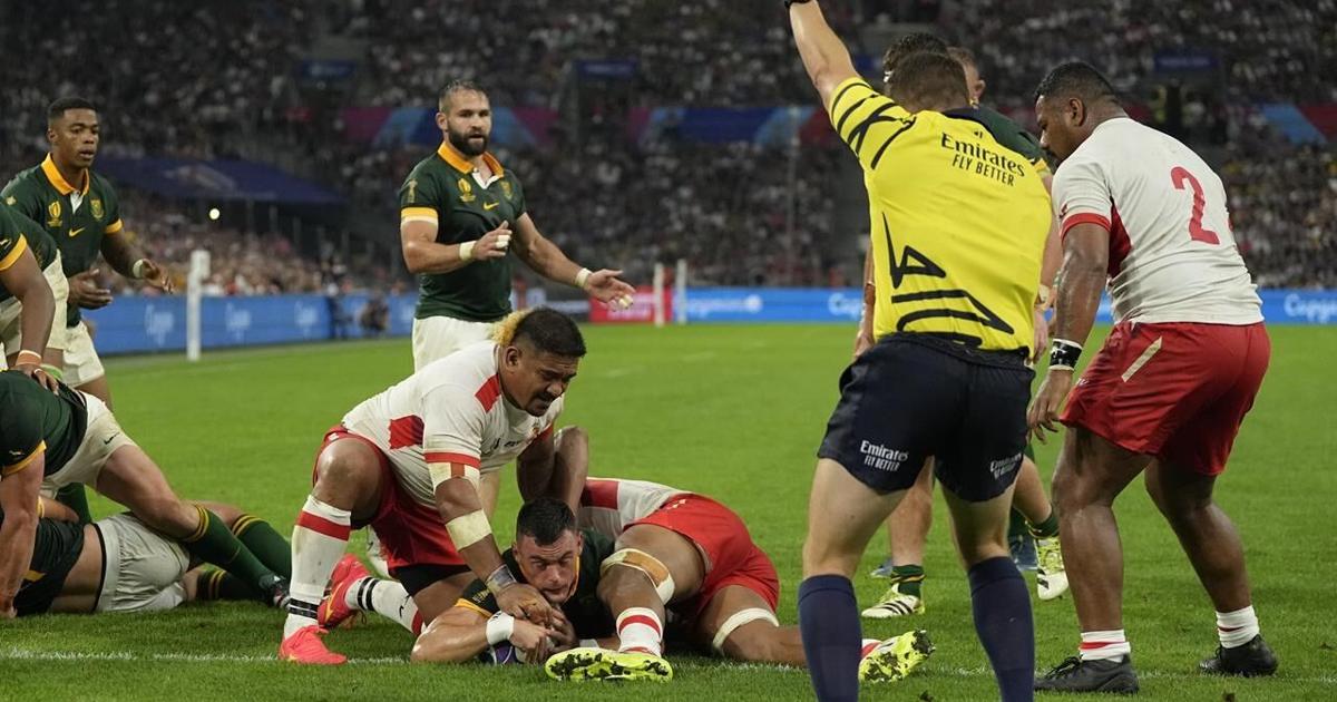 Respect In Rugby Springboks have earned back respect from referees at Rugby World Cup ...