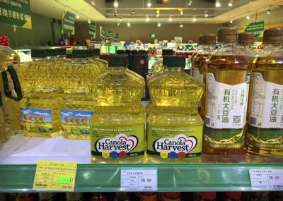 canola_China_1.JPG
