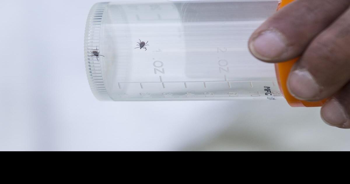 Most Lyme disease cases in kids came from Ontario, Nova Scotia, study finds