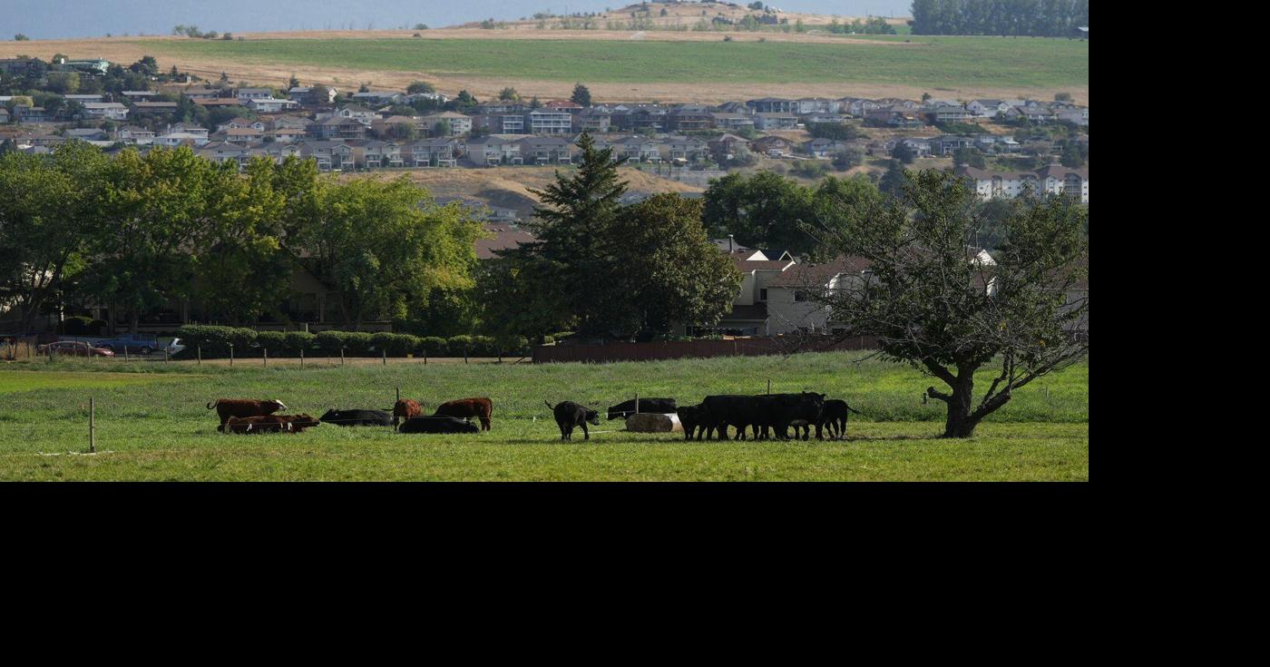 Communities report high demand for pilot offering permanent residency for rural jobs