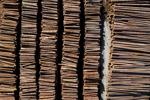 300 jobs lost as Canfor closes pulp mill outside Prince George, B.C.