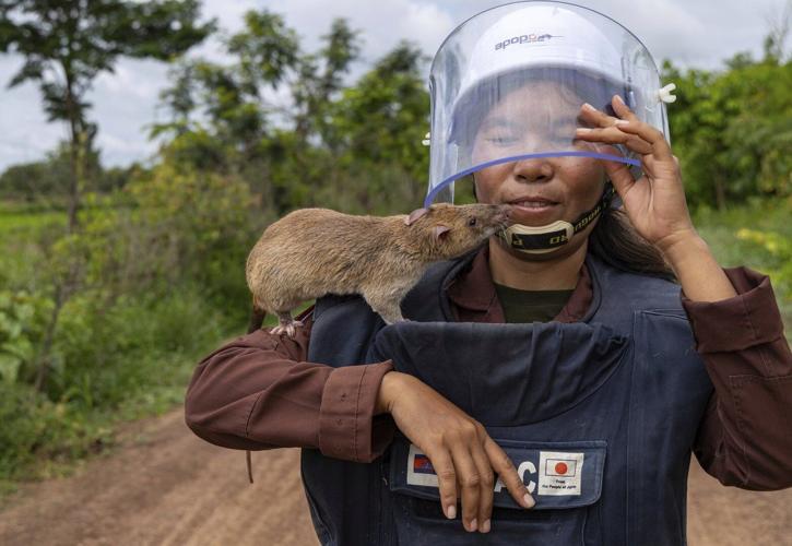A look at AP #39 s top photos in July