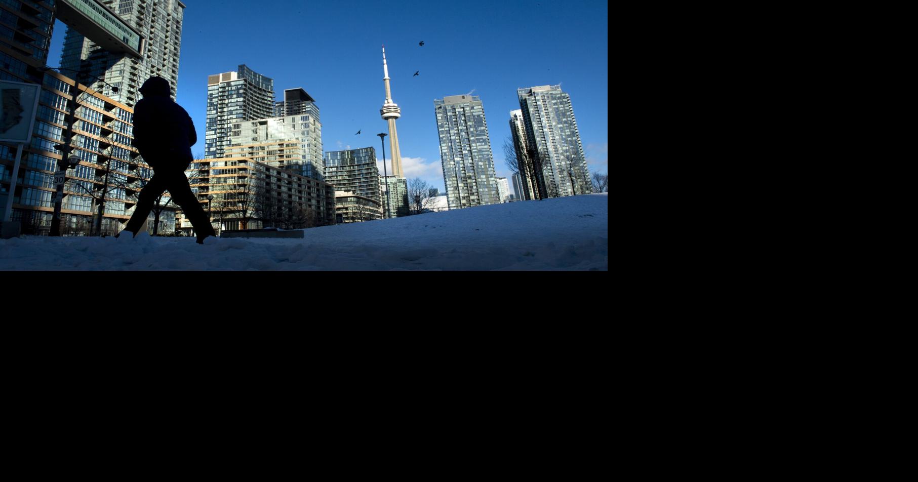 Forget large corporations. It’s small-scale investors who hold reams of Ontario’s rental value