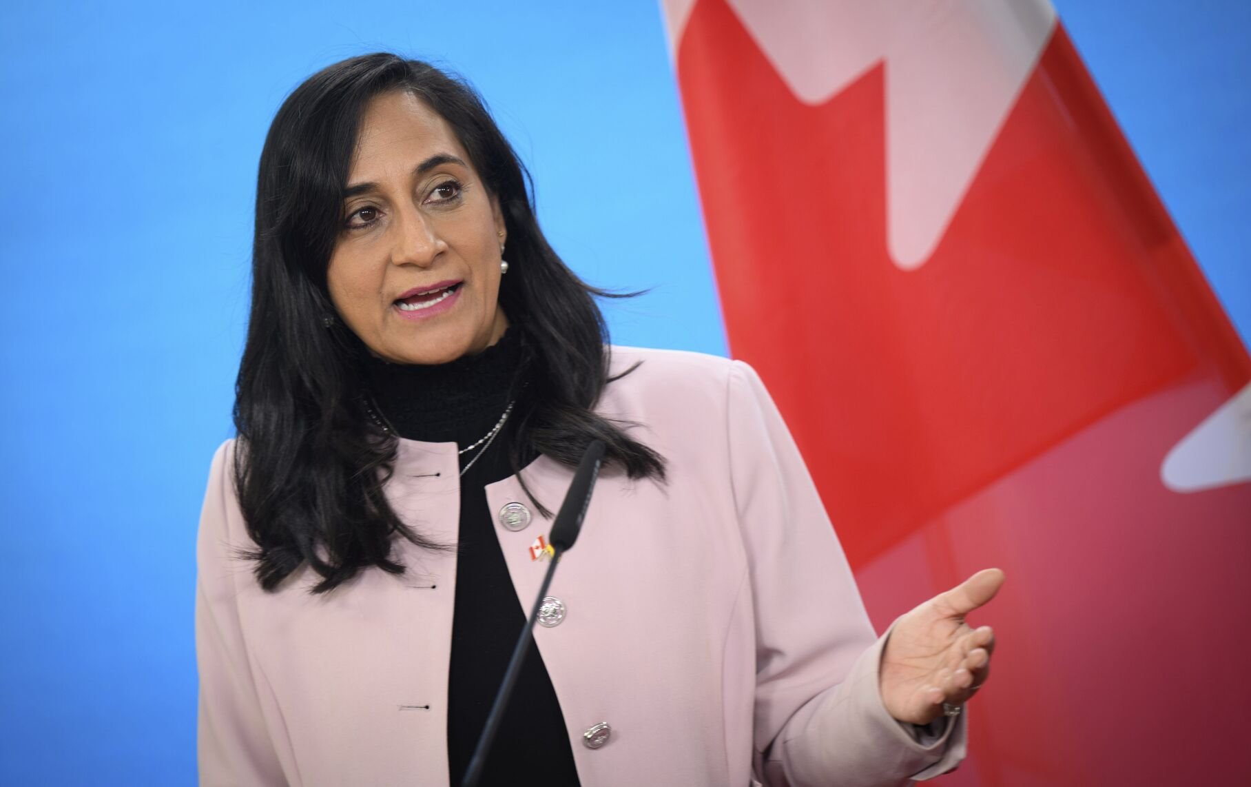 Anita Anand Mark.JPG