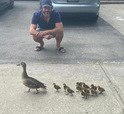 Meet Pond, James Pond — and Quackie Chan, Duck Norris, Quack