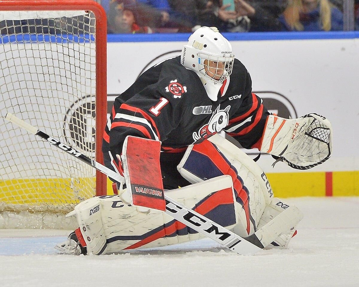 Icedogs deals goalie cut