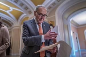 Chuck Schumer has broad support from his caucus, but midterms could decide his future as leader