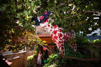 When moose took over ѻý: Artists reflect on city art project, 25 years later