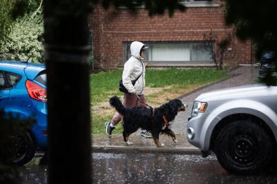 NL_Rain day_0001.JPG