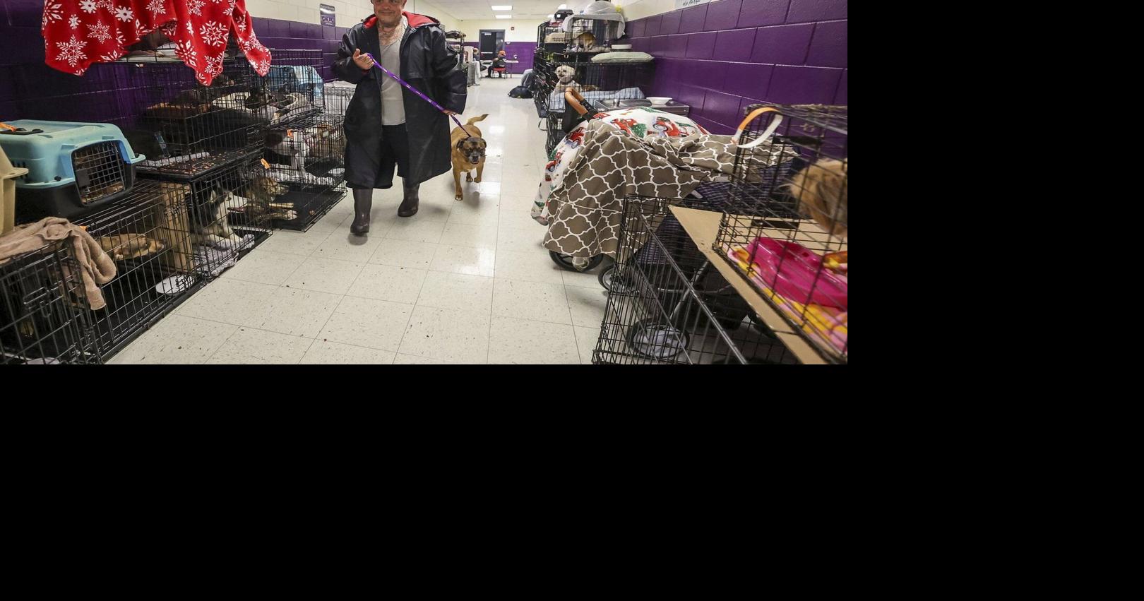 https://bloximages.chicago2.vip.townnews.com/thestar.com/content/tncms/assets/v3/editorial/b/07/b078b827-6855-5856-9ff4-4c9e1170d837/6869f97145924.image.jpg?crop=1620,851,0,114&resize=1200,630&order=crop,resize