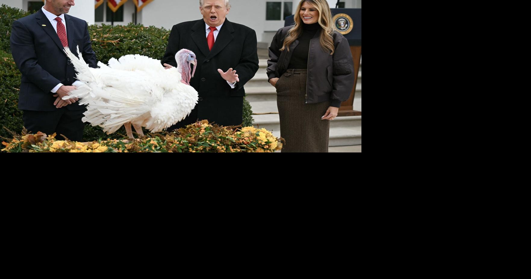 Blame Trump: why your Thanksgiving turkey dinner will cost 10% more this year