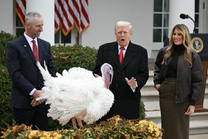 Blame Trump: why your Thanksgiving turkey dinner will cost 10% more this year
