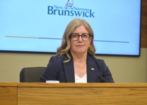 N.B. premier directing public institutions to stop buying American amid trade war