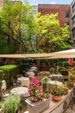 George patio by Priyangsha Chittaranjan.jpg
