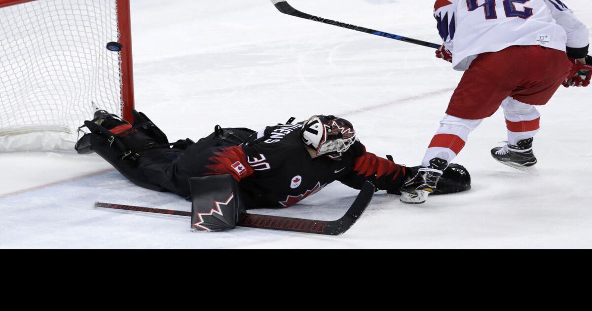 Is Canadian hockey coach Willie Desjardins up to the challenge?