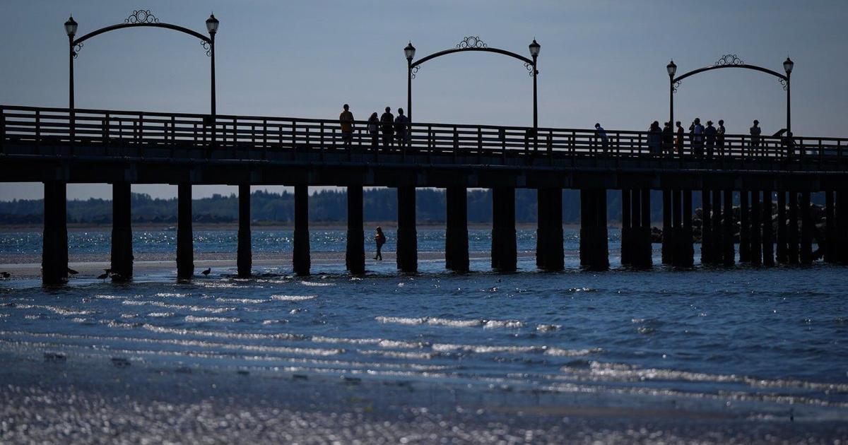 https://bloximages.chicago2.vip.townnews.com/thestar.com/content/tncms/assets/v3/editorial/b/1c/b1c3fcb8-c84e-5af5-8144-34f6fef8daf6/6898d3a3599bb.image.jpg?crop=1591,835,0,122&resize=1200,630&order=crop,resize