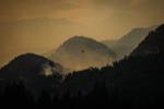 B.C. officials brace for increased wildfire activity from dry lightning