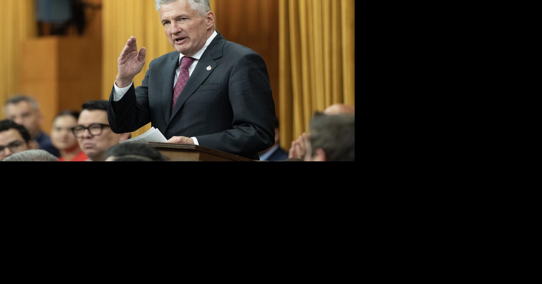 Liberal MP comes out against Carney government’s return-to-office plan