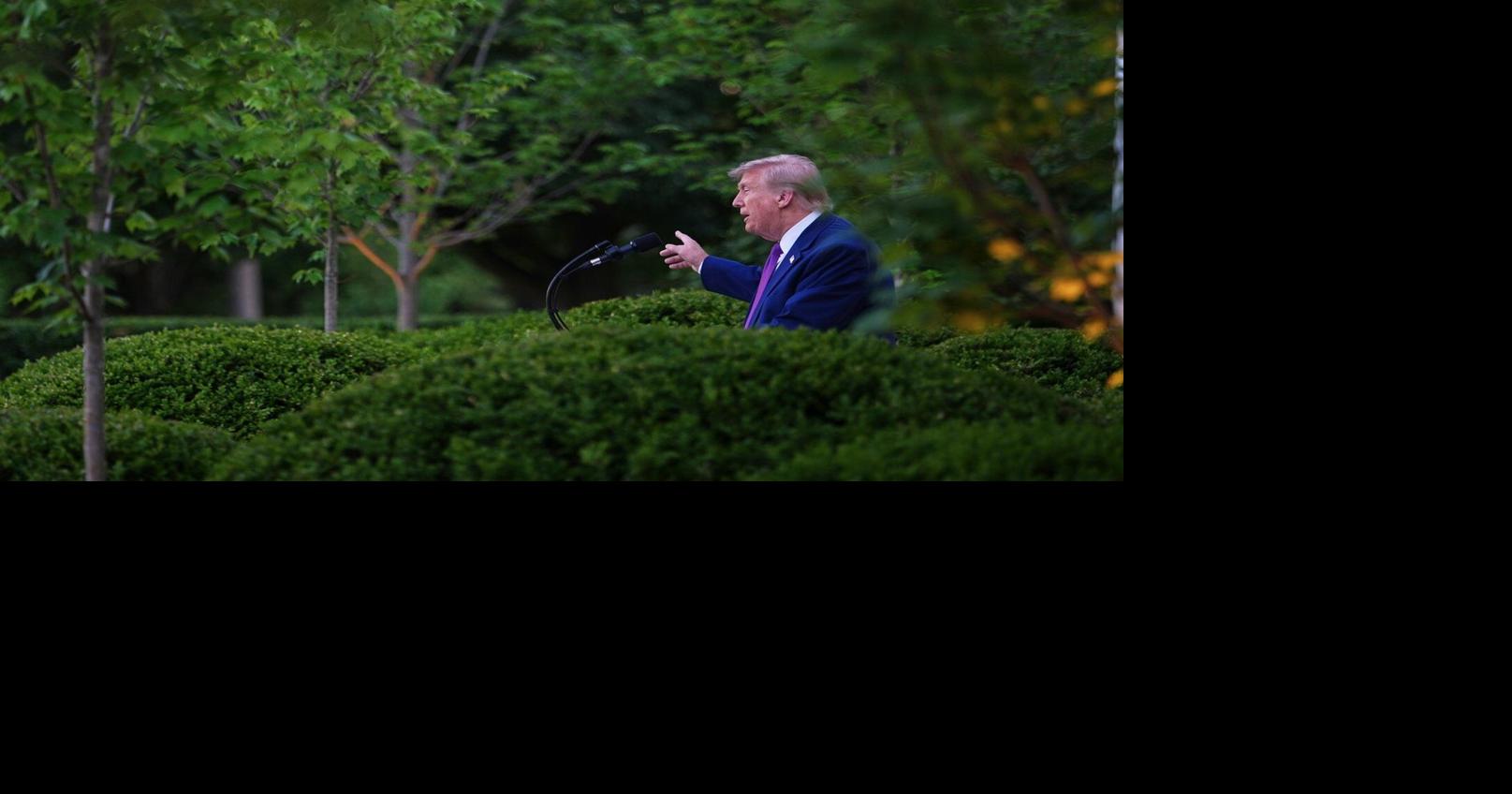 https://bloximages.chicago2.vip.townnews.com/thestar.com/content/tncms/assets/v3/editorial/b/35/b3515834-4f3a-540e-ae72-698f2cc73734/6a02a6ed1ab19.image.jpg?crop=1615,848,0,116&resize=1200,630&order=crop,resize