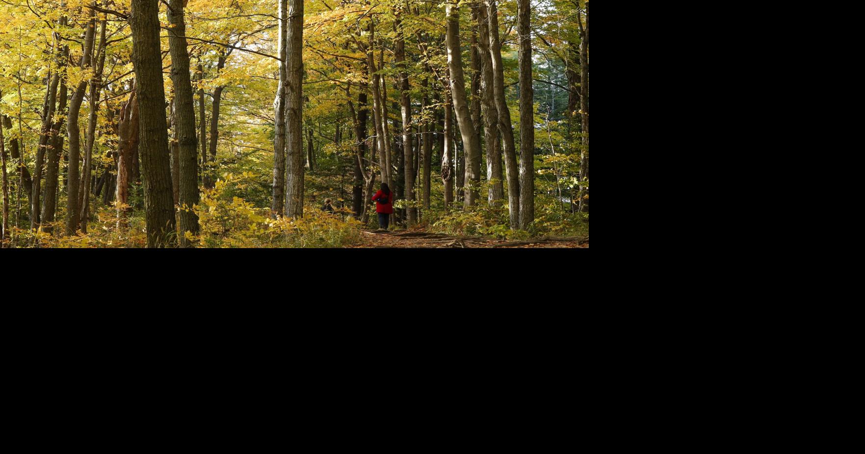 We have a once-in-a-generation chance to make Toronto’s only national park better — but only if we resist paving...