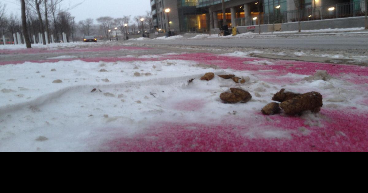 Waterloo stoops to turn dog poop into energy, fertilizer