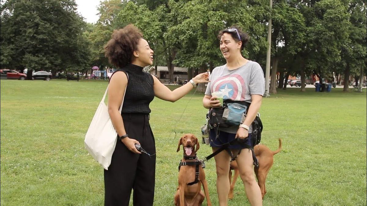 Does Toronto have a dog problem? Rise in attacks tests rules