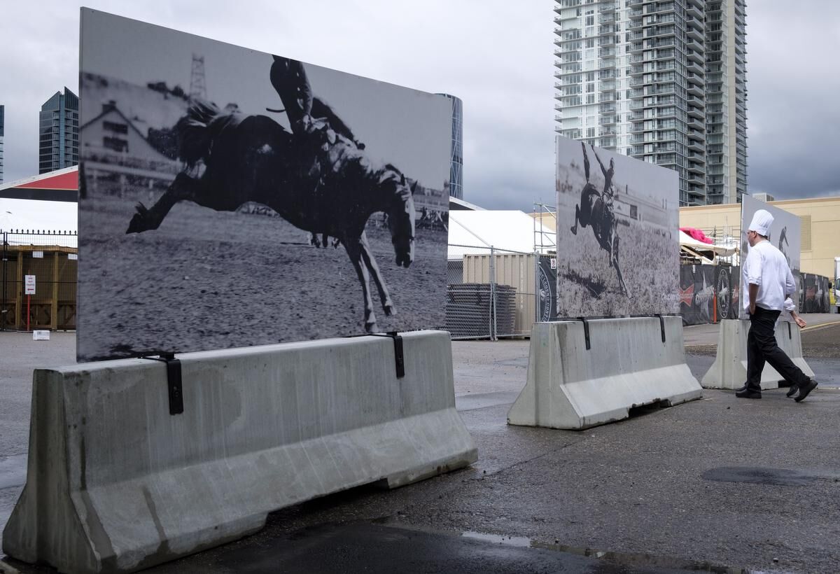 Calgary Stampede chuckwagon driver injured in tumble at start of race