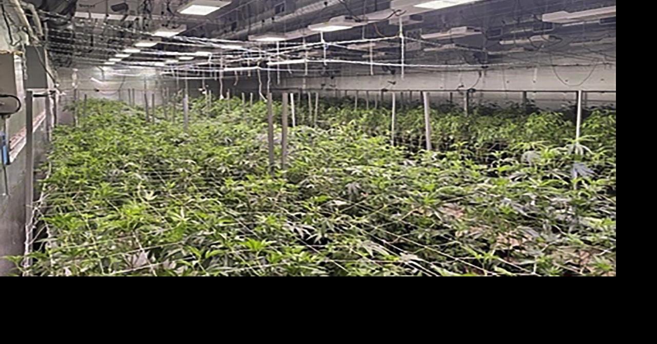 8 arrested, 3,000 pounds of pot seized at LA warehouse