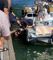 ‘I was panicking.’ woman’s fall from water taxi sparks safety concerns over docking hazards