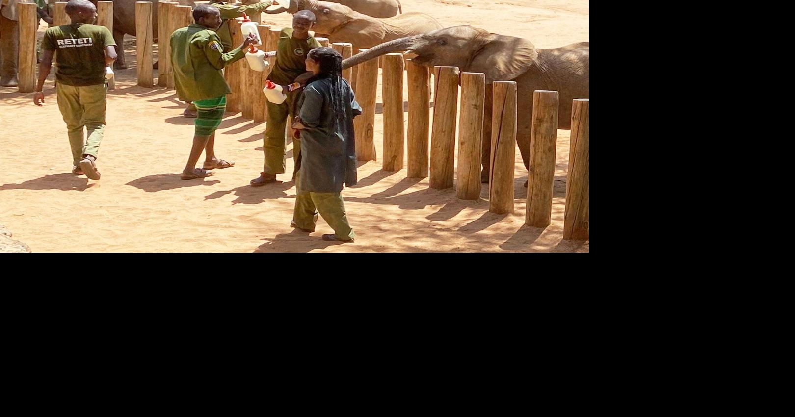 Elephant orphans. Goat's milk. This safari reveals the impact of wildlife conservation in Kenya