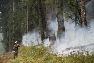 As wildfire season approaches, budget woes and federal uncertainty have put states
