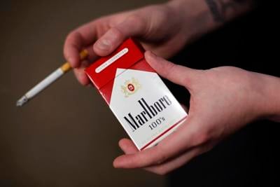 does giant sell tobacco West Tampa Co. White Cigars Gigante Slim Jim Snacks are perfect for those looking to add some spice to their treats. Marlboro maker Altria takes 35%