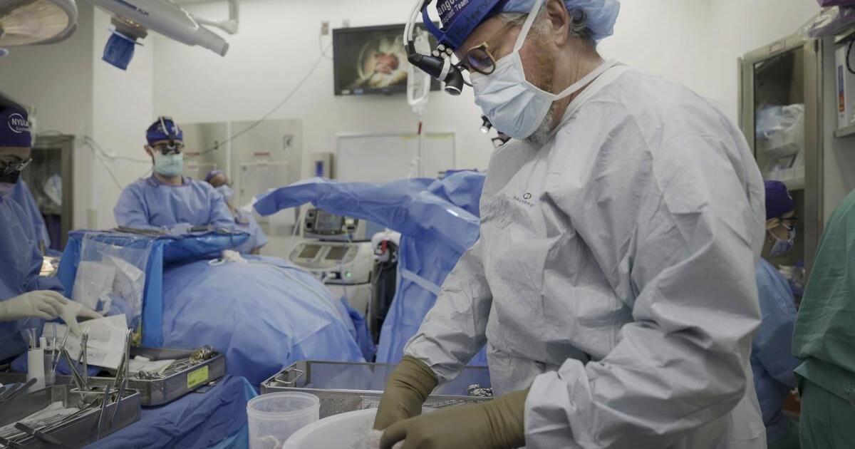 Pig kidney works in a donated body for over a month, a step toward ...