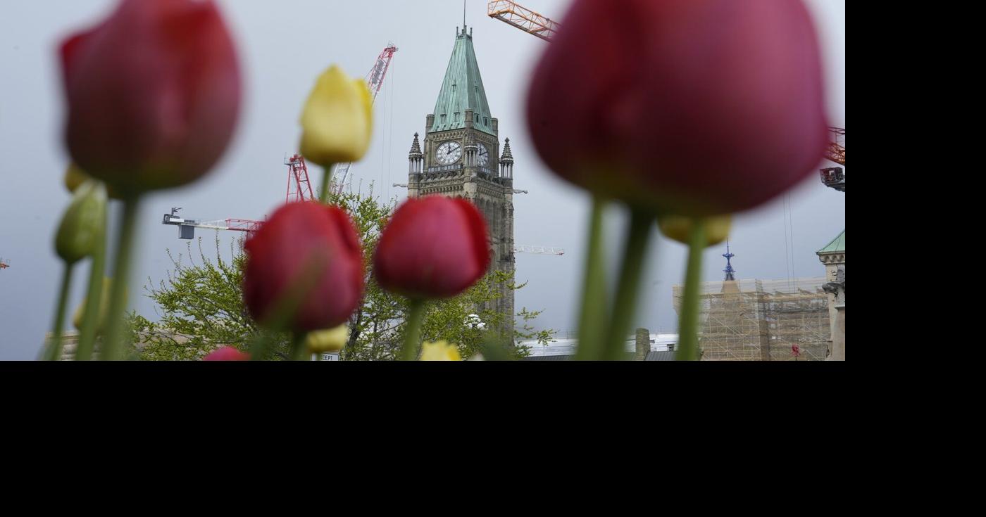 Border law to face constitutional challenge over new refugee claim rules
