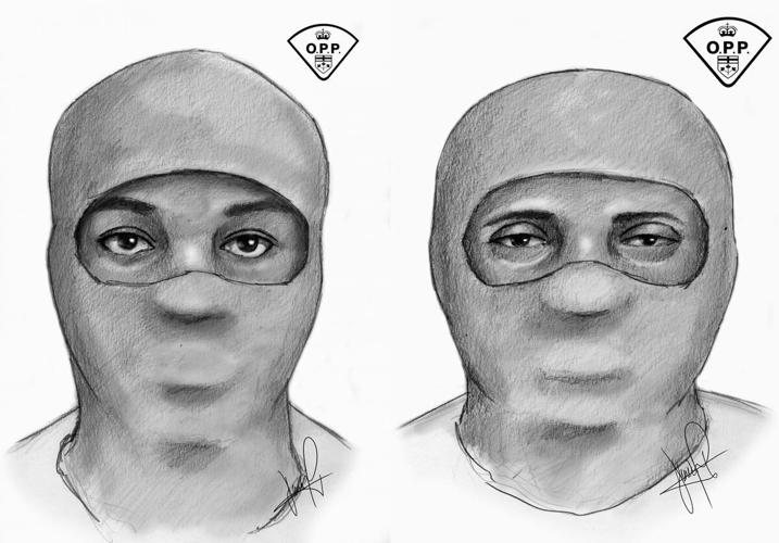 OPP issue reward in case of Elnaz Hajtamiri, woman abducted a year ago