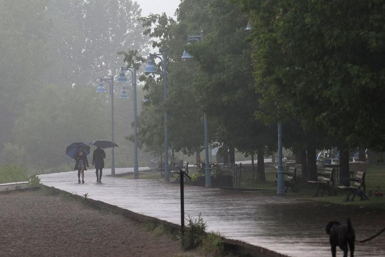 Rainy day