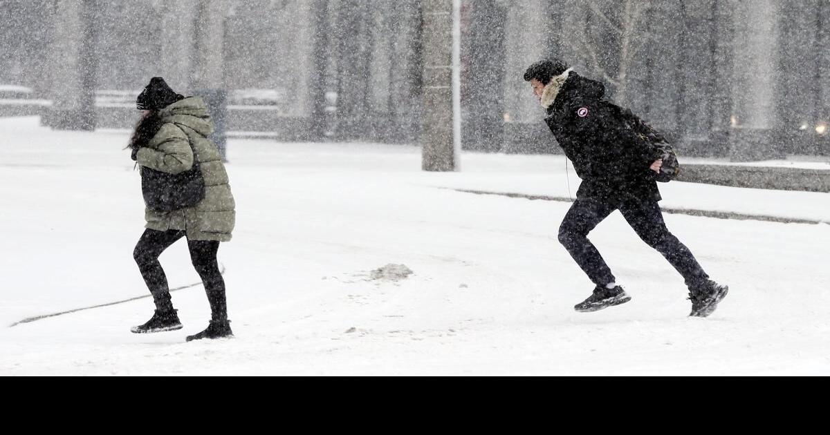 Police Report 250 Collisions As Snowstorm Hits Toronto